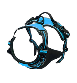 Rocky-Active Harness