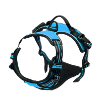 Rocky-Active Harness