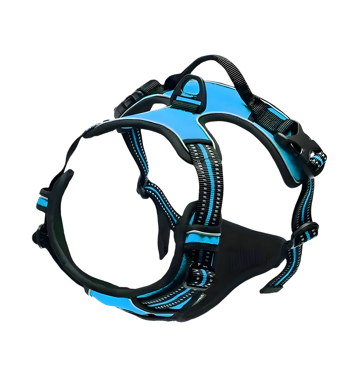 Rocky-Active Harness