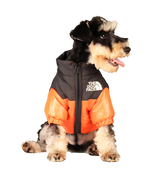 Zoly-Winter Pet Jacket