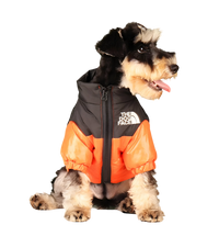 Zoly-Winter Pet Jacket