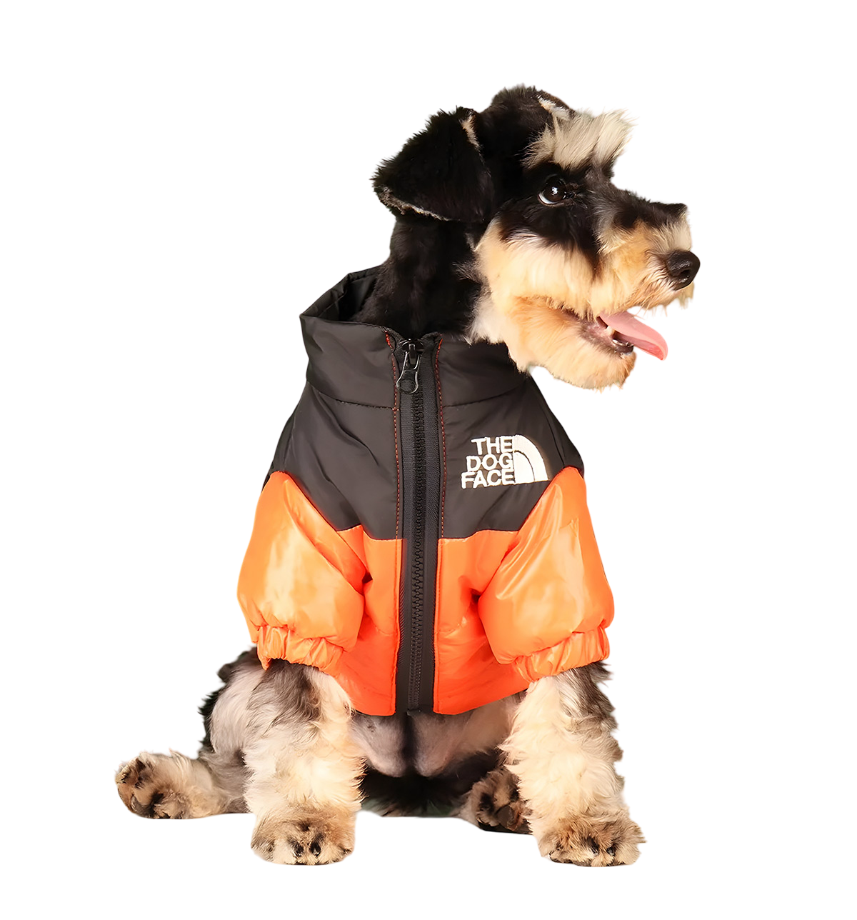 Zoly-Winter Pet Jacket