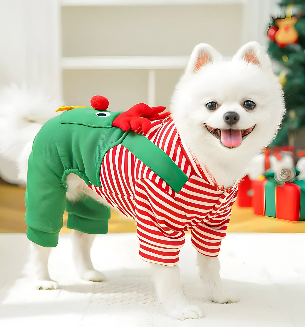 Lupy-Christmas Elf Suit