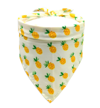 Lilo-Tropical Scarf