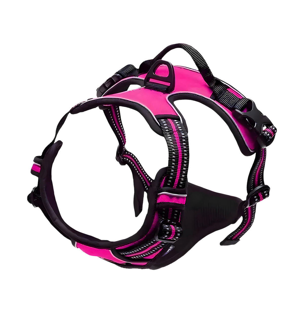 Rocky-Active Harness