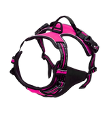 Rocky-Active Harness