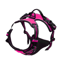 Rocky-Active Harness