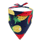 Lilo-Tropical Scarf