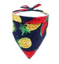 Lilo-Tropical Scarf