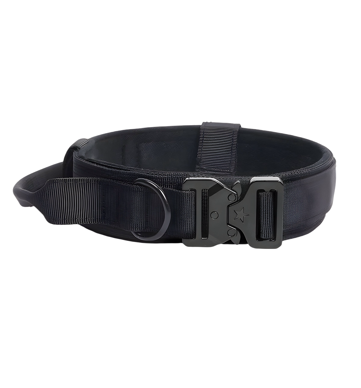 Suki-Safari Style Collar