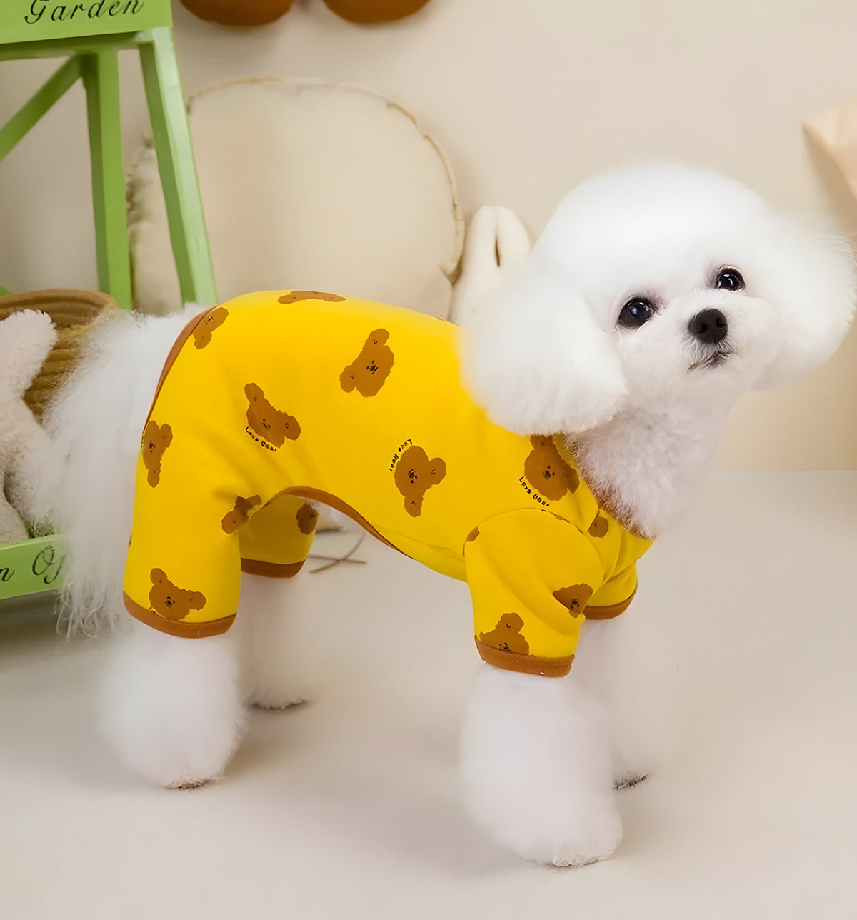 Coco-Bear Pet Onesie