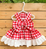 Lina-Gingham Pet Dress