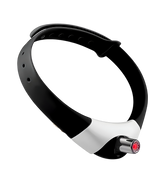 Zeni-Laser Play Collar