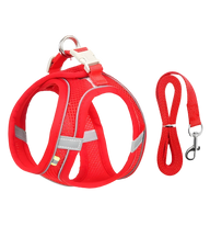 Luna-Comfort Fit Harness