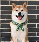 Nori-Classic Pet Scarf