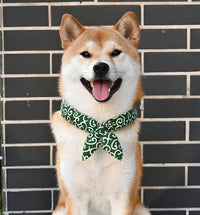 Nori-Classic Pet Scarf