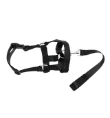 Roxy-No Pull Harness