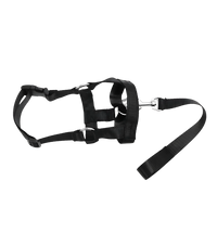 Roxy-No Pull Harness