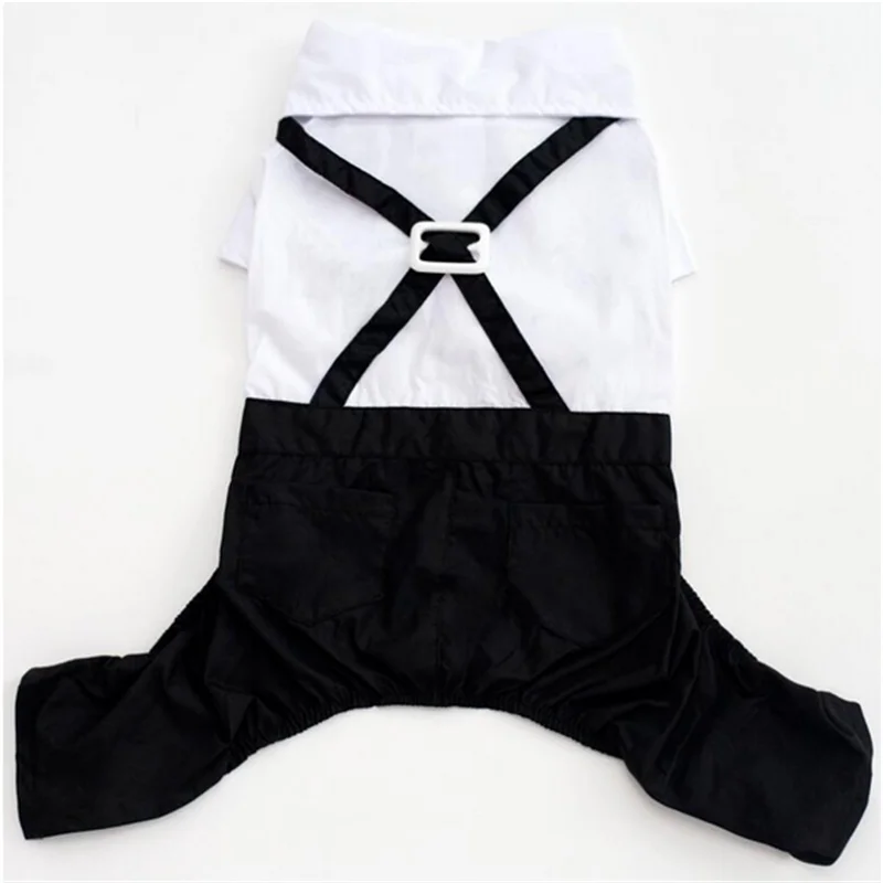 Dog Tuxedo Suit