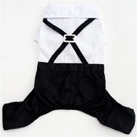 Dog Tuxedo Suit