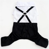Dog Tuxedo Suit