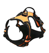 Rocky-Active Harness