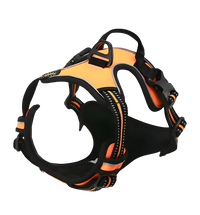 Rocky-Active Harness