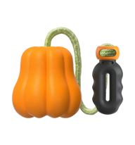 Pumpkin Tug Dog Toy