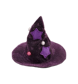 Witch Pet Costume