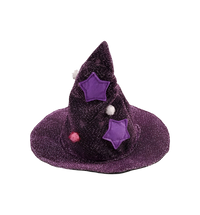 Witch Pet Costume