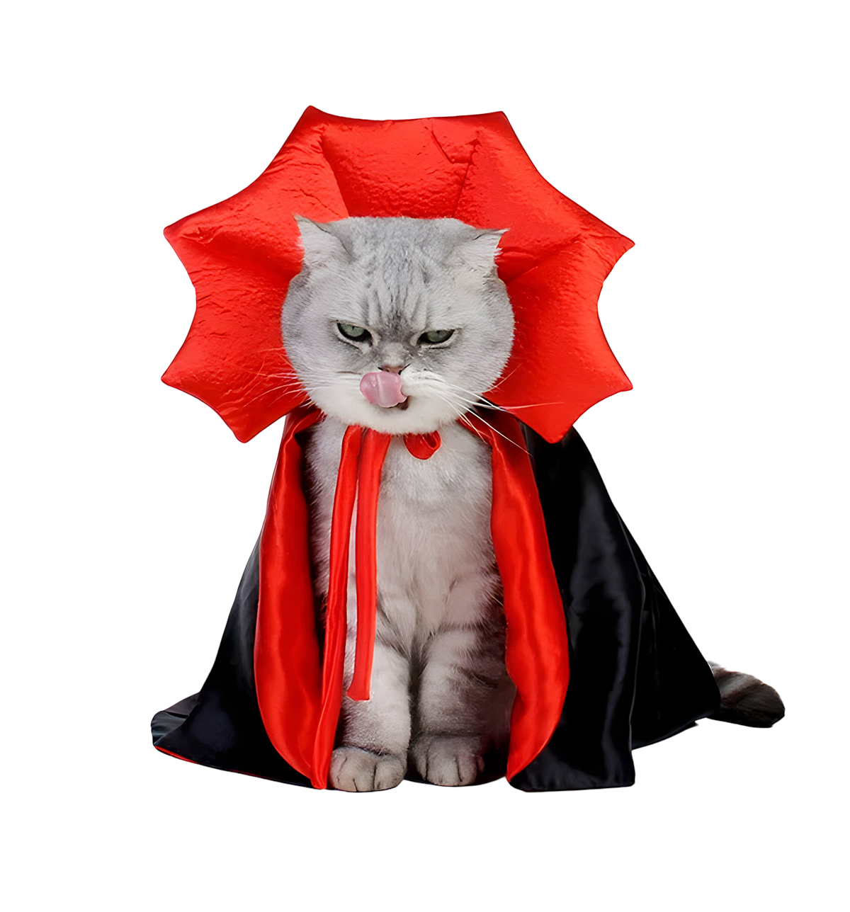 Luna-Dracula Cat Cape