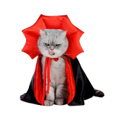 Luna-Dracula Cat Cape