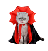 Luna-Dracula Cat Cape