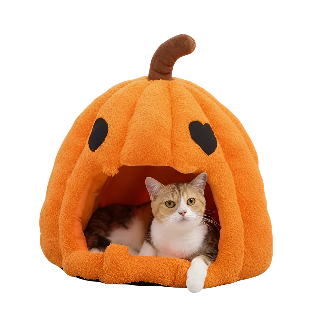 Nori-Pumpkin Hut