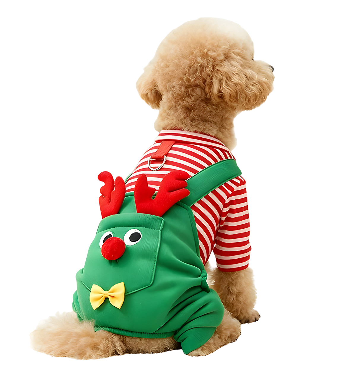 Lupy-Christmas Elf Suit