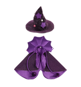 Witch Pet Costume