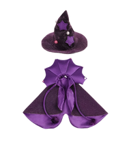 Witch Pet Costume