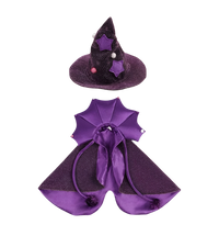 Witch Pet Costume
