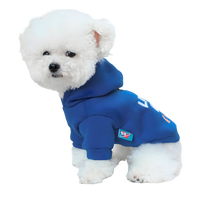 Benny-Cool Pup Hoodie