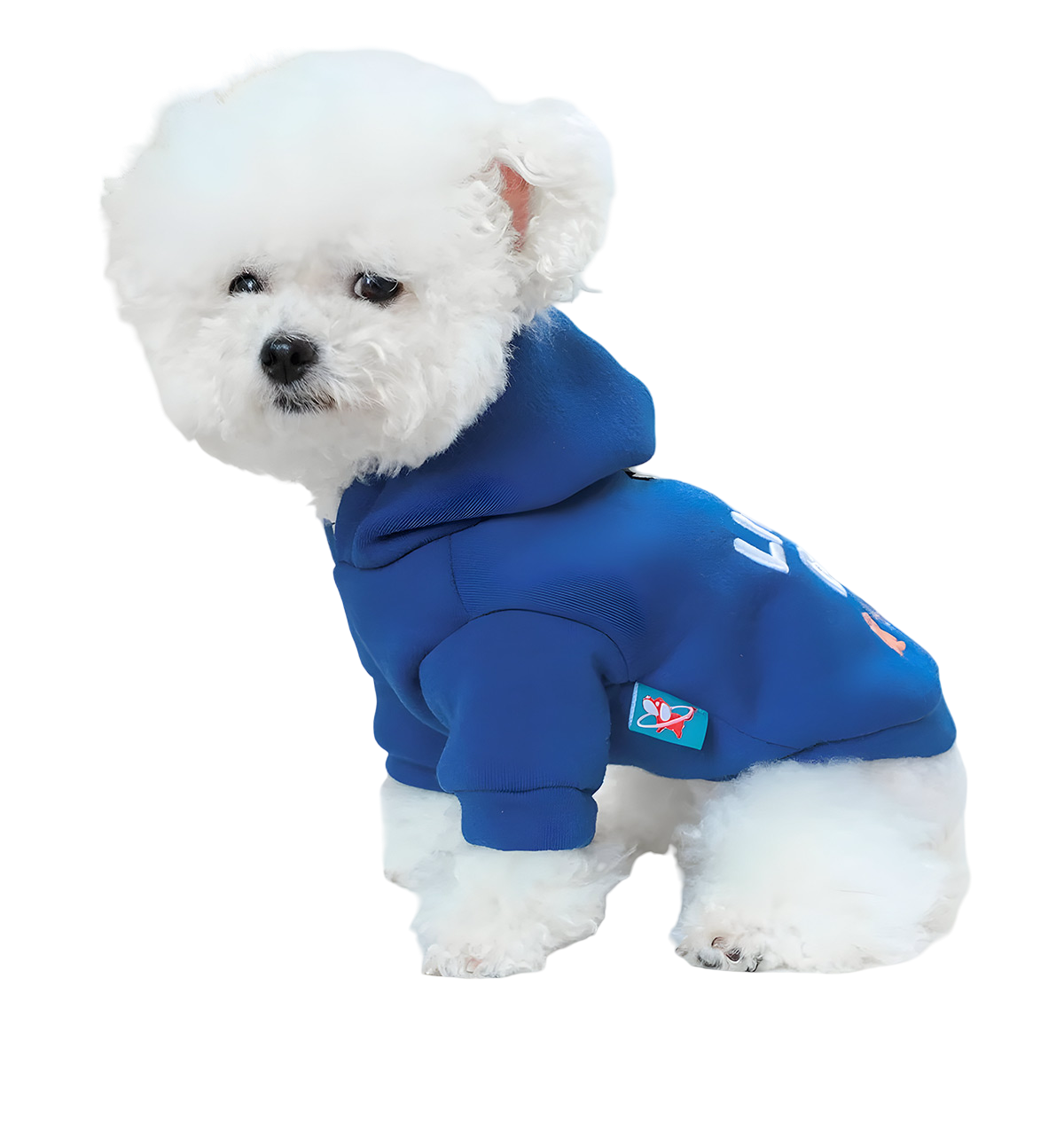 Benny-Cool Pup Hoodie
