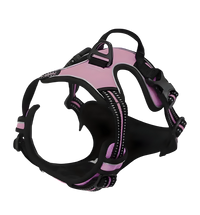 Rocky-Active Harness