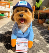 Dexo-Delivery Pet Suit