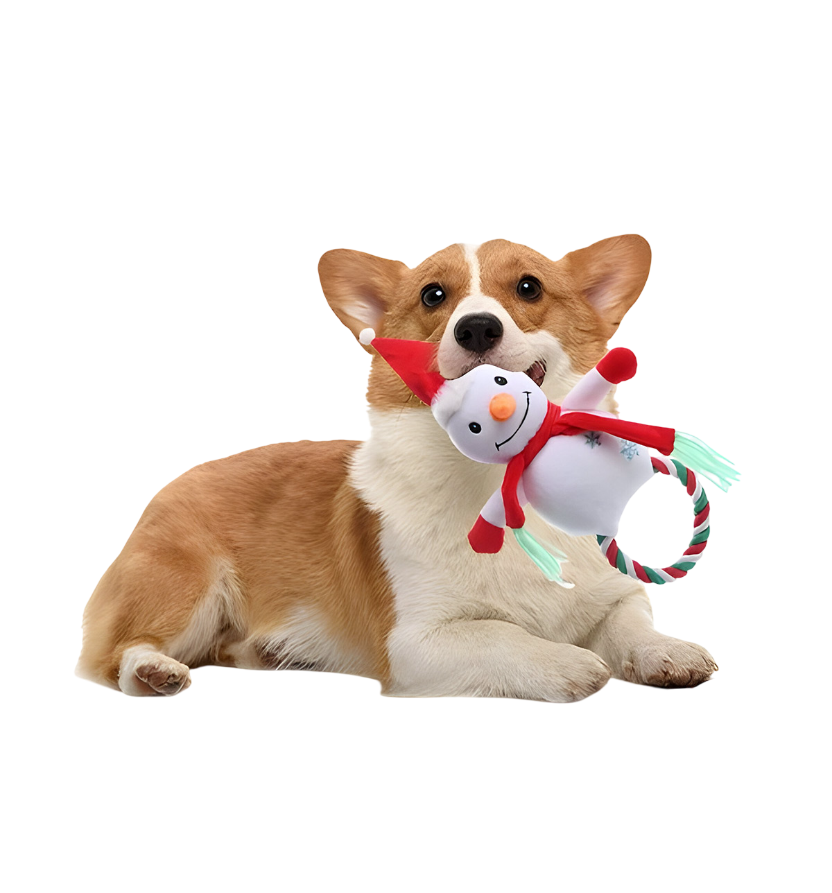 Coco-Holiday Toy Set