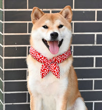 Nori-Classic Pet Scarf