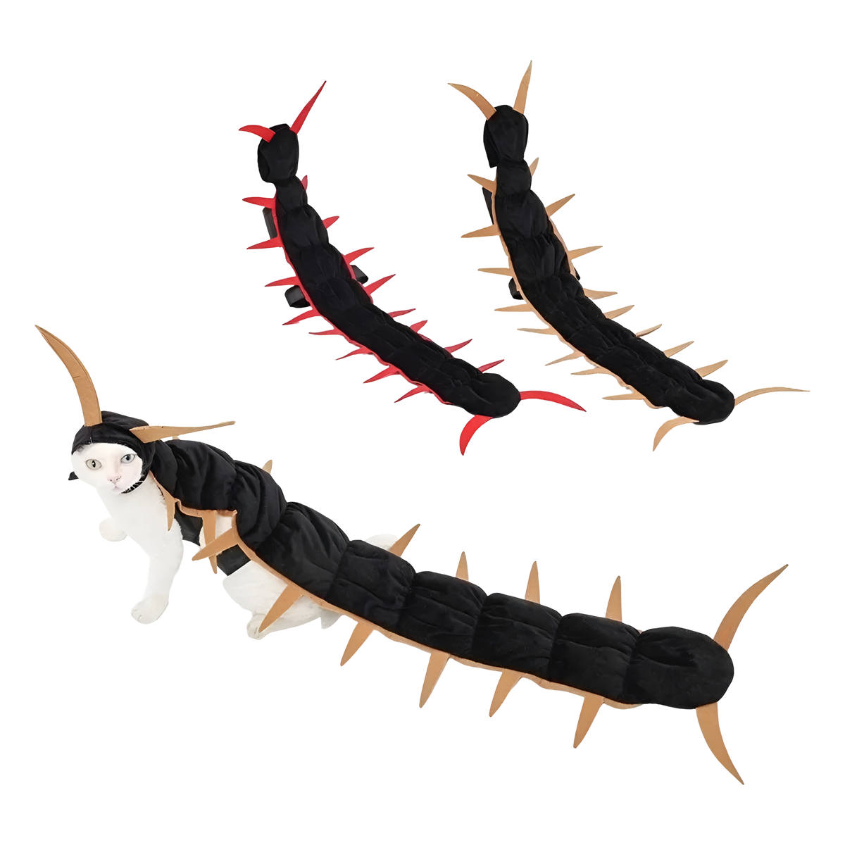 Scorpion Pet Costume