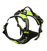 Rocky-Active Harness