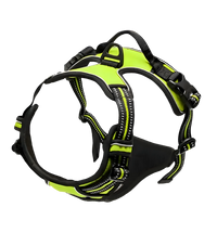 Rocky-Active Harness