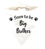 Ollie-Big Brother Scarf