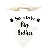 Ollie-Big Brother Scarf