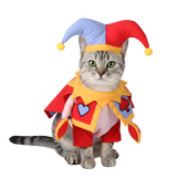 Tato-Funny Pet Costume
